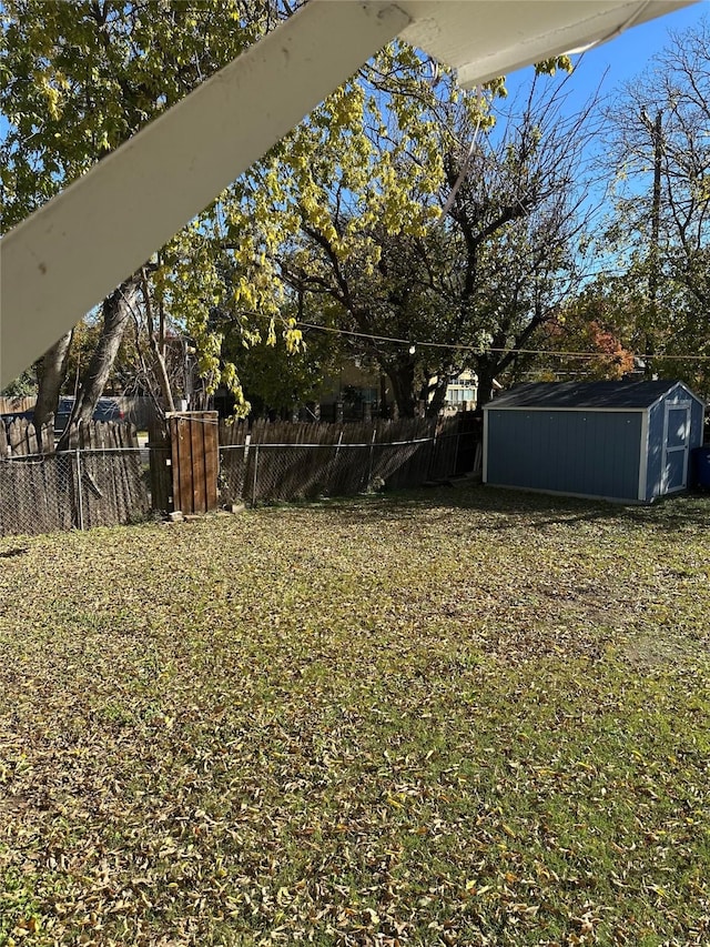 view of yard featuring a shed