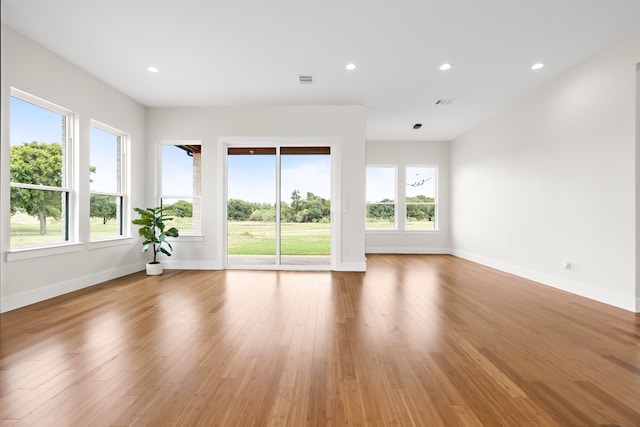 unfurnished room featuring light wood-type flooring and a wealth of natural light