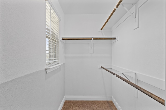 spacious closet with carpet floors