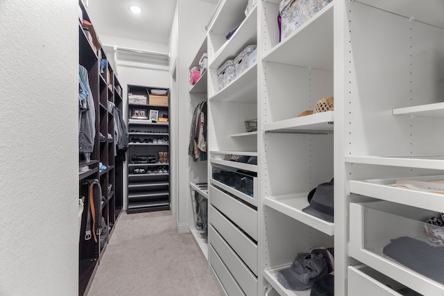 spacious closet with light colored carpet