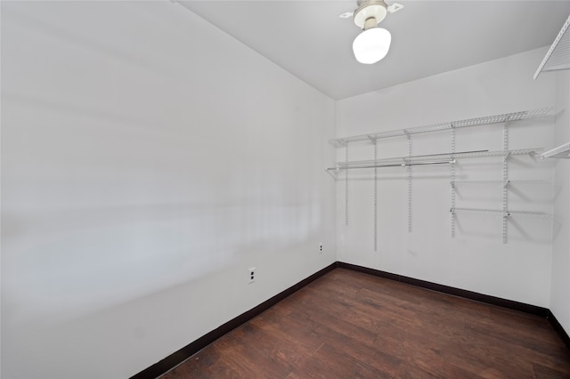 walk in closet with dark hardwood / wood-style floors