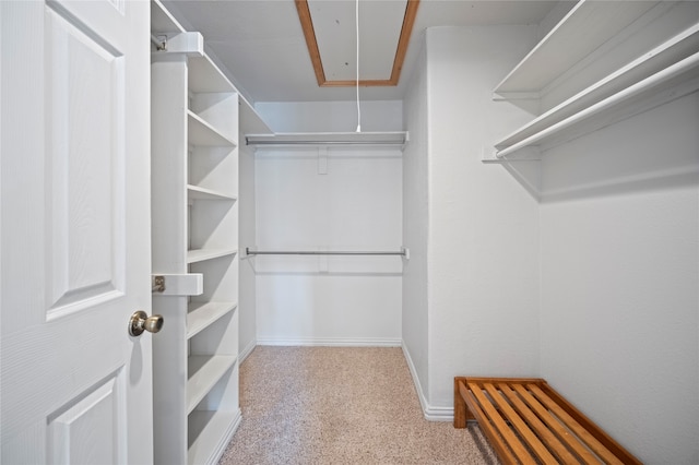 spacious closet with light colored carpet