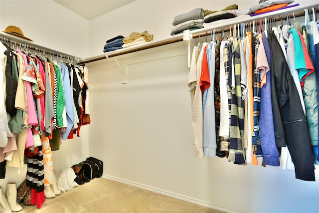 spacious closet featuring carpet