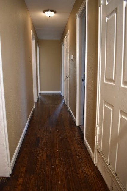 hallway with dark wood-type flooring