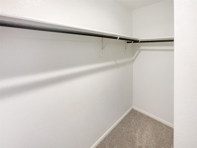 spacious closet with carpet floors