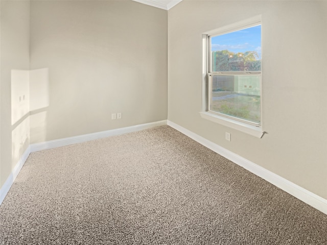 carpeted empty room featuring crown molding