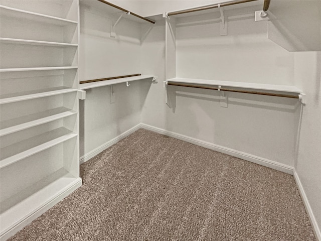 spacious closet featuring carpet floors