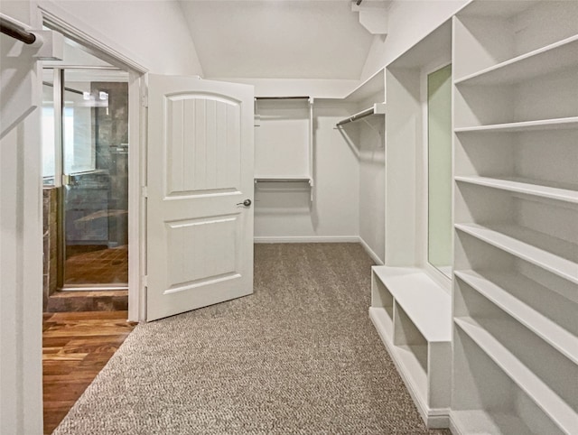 spacious closet featuring vaulted ceiling and carpet