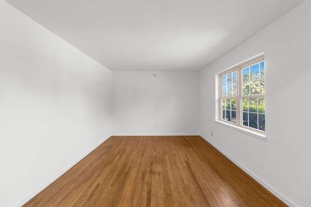 empty room with hardwood / wood-style floors