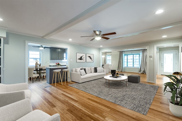 living room featuring ceiling fan, light hardwood / wood-style floors, and crown molding