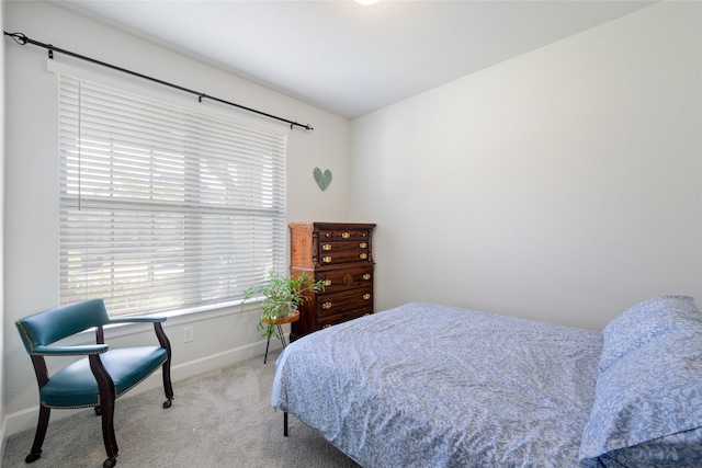 bedroom featuring carpet