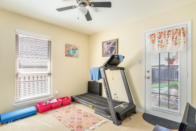 workout room featuring ceiling fan and carpet