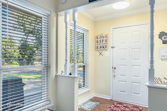 foyer with ornamental molding, a wealth of natural light, and hardwood / wood-style floors