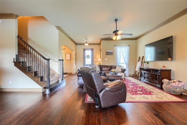 living room featuring ceiling fan, hardwood / wood-style flooring, and crown molding