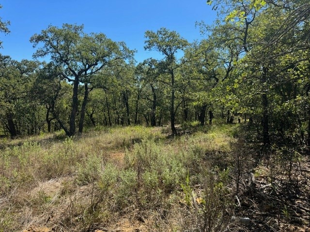 LOT26BLK7 Hauser Pl, Runaway Bay TX, 76426 land for sale