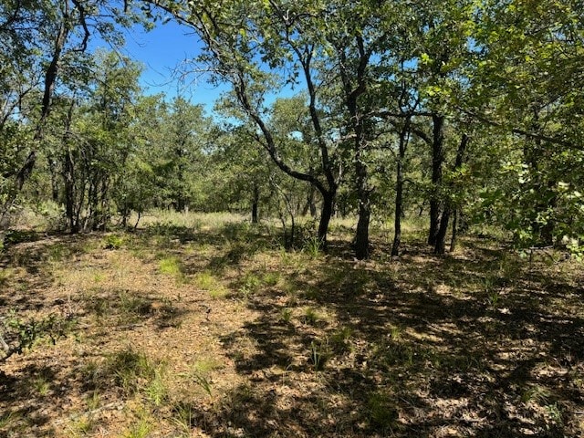 Listing photo 2 for LOT26BLK7 Hauser Pl, Runaway Bay TX 76426