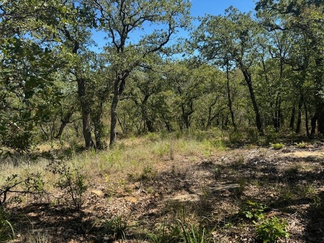 Listing photo 3 for LOT26BLK7 Hauser Pl, Runaway Bay TX 76426