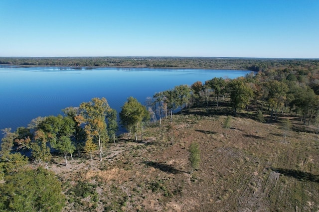 Listing photo 3 for TBD County Road 198, Gary TX 75643