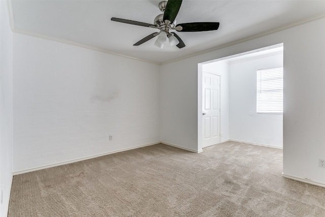 carpeted spare room with ceiling fan and ornamental molding