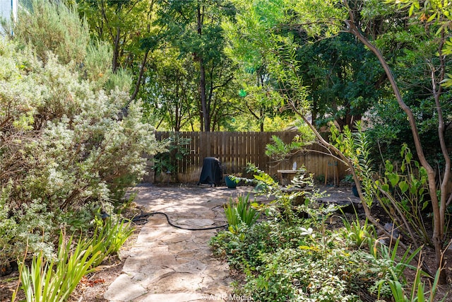 view of yard featuring a patio area