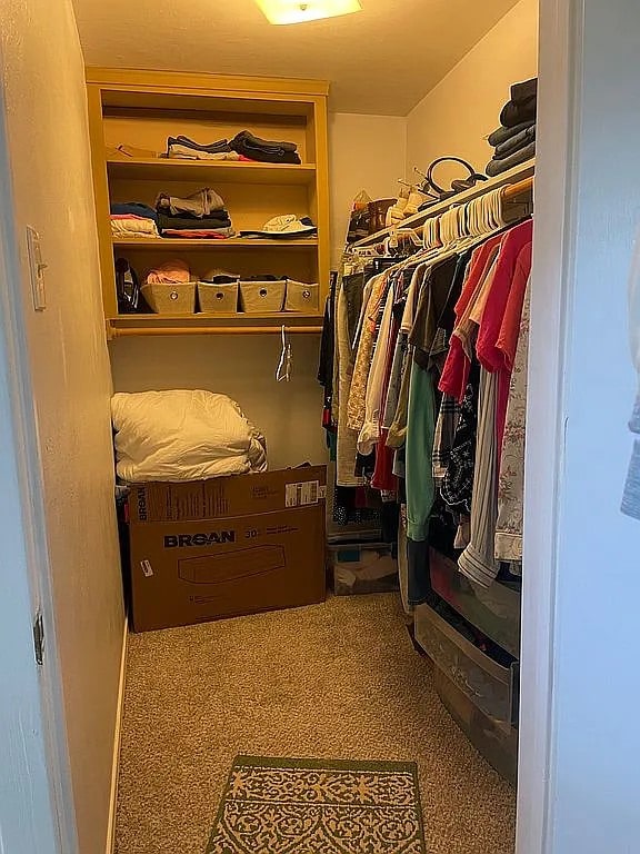 walk in closet with carpet