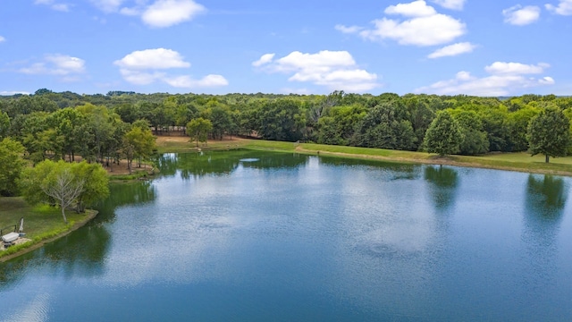 property view of water