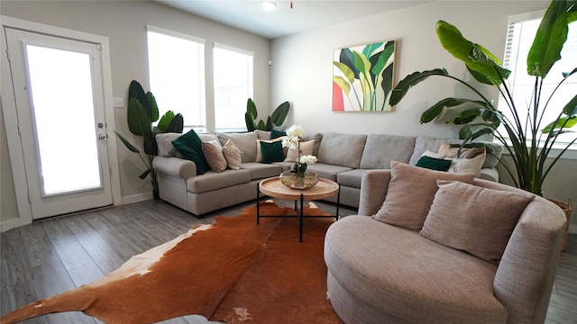 living room with hardwood / wood-style floors