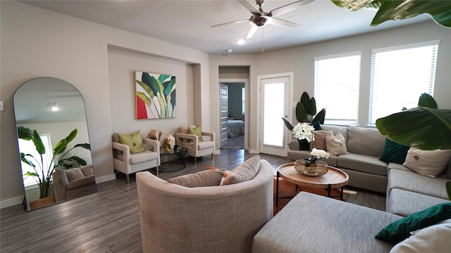 living room featuring ceiling fan and dark hardwood / wood-style flooring