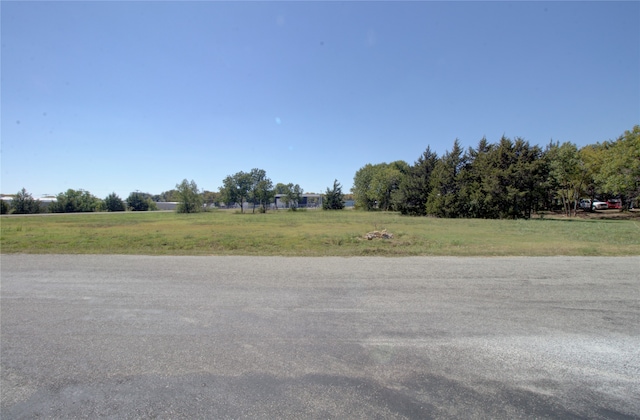 111 Brandon Way, Pottsboro TX, 75076 land for sale