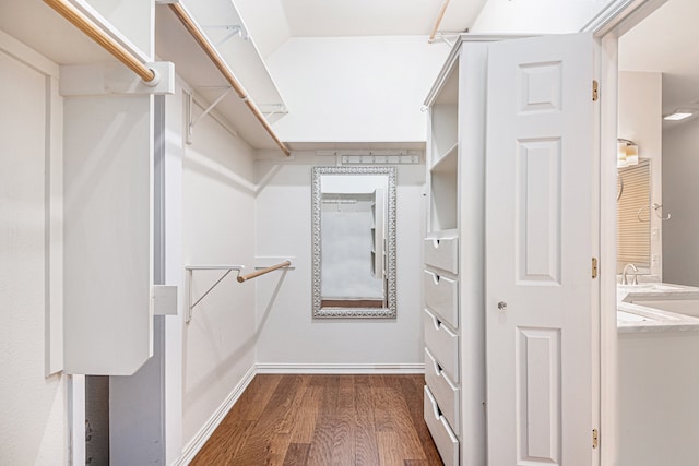 spacious closet with dark hardwood / wood-style floors