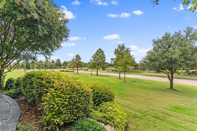 view of community with a yard