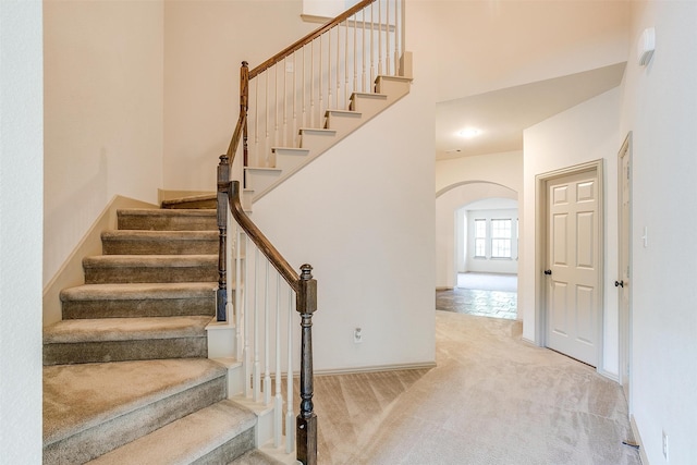 stairway featuring carpet flooring