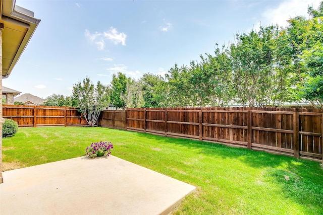 view of yard with a patio area