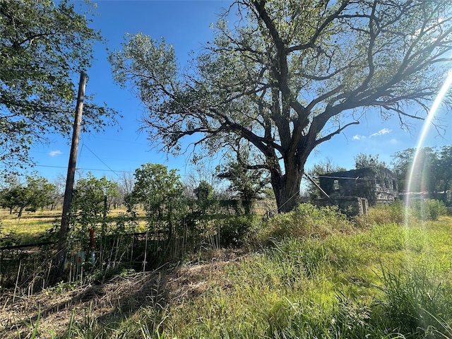 Listing photo 2 for TBD Sh6, Hico TX 76457