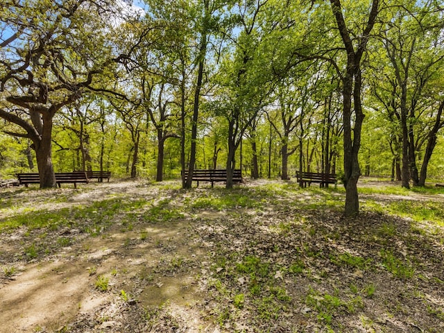 view of local wilderness