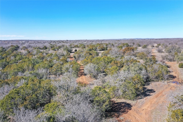 Listing photo 3 for TBD Fm 2179, Graham TX 76450