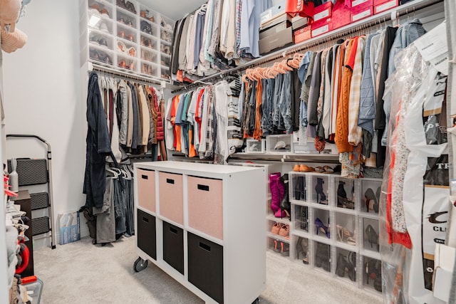 walk in closet with carpet floors