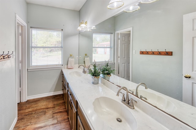 bathroom with vanity, plenty of natural light, and hardwood / wood-style flooring