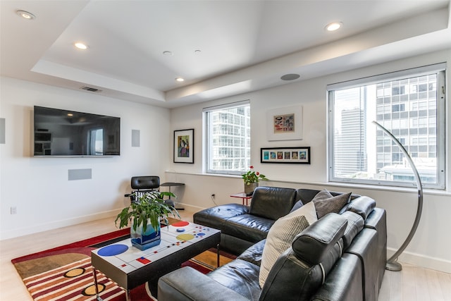 living room with a raised ceiling and hardwood / wood-style flooring