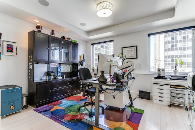 office space with a raised ceiling and light hardwood / wood-style flooring