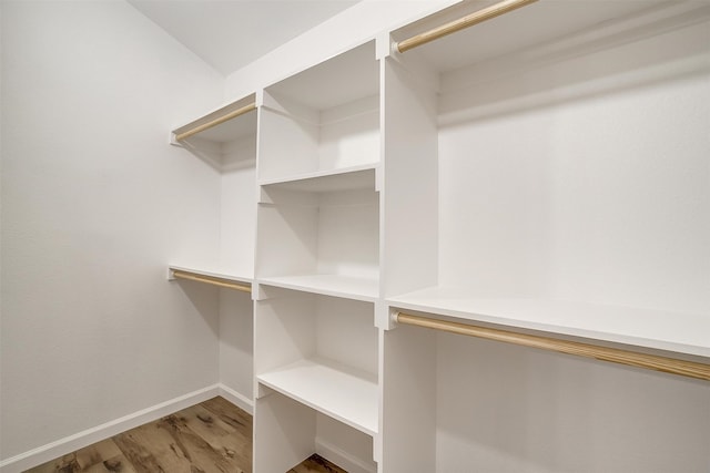 spacious closet with hardwood / wood-style flooring