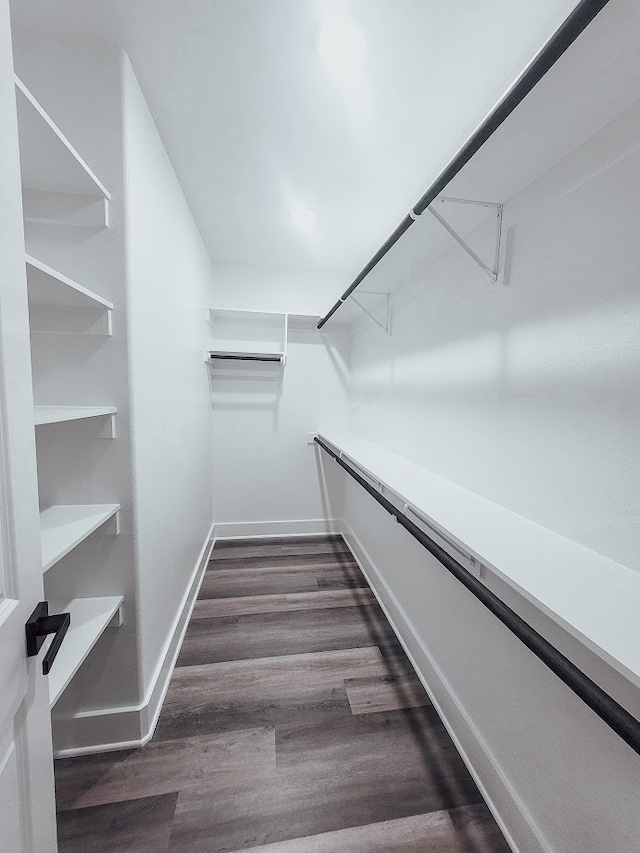 spacious closet featuring dark hardwood / wood-style flooring