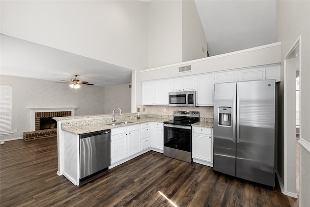 kitchen with dark hardwood / wood-style floors, appliances with stainless steel finishes, kitchen peninsula, sink, and ceiling fan