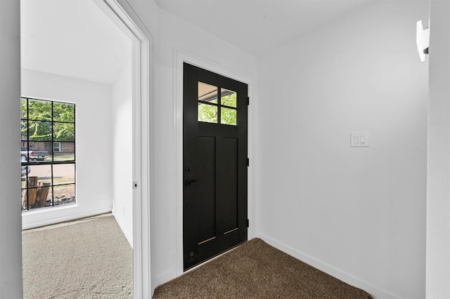 entrance foyer featuring carpet and a healthy amount of sunlight