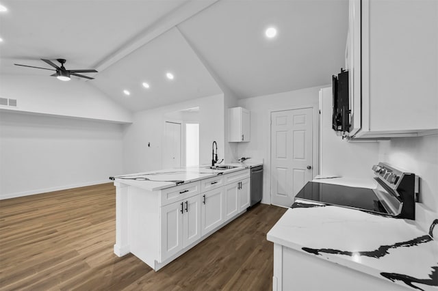 kitchen featuring appliances with stainless steel finishes, sink, lofted ceiling, dark wood-type flooring, and ceiling fan