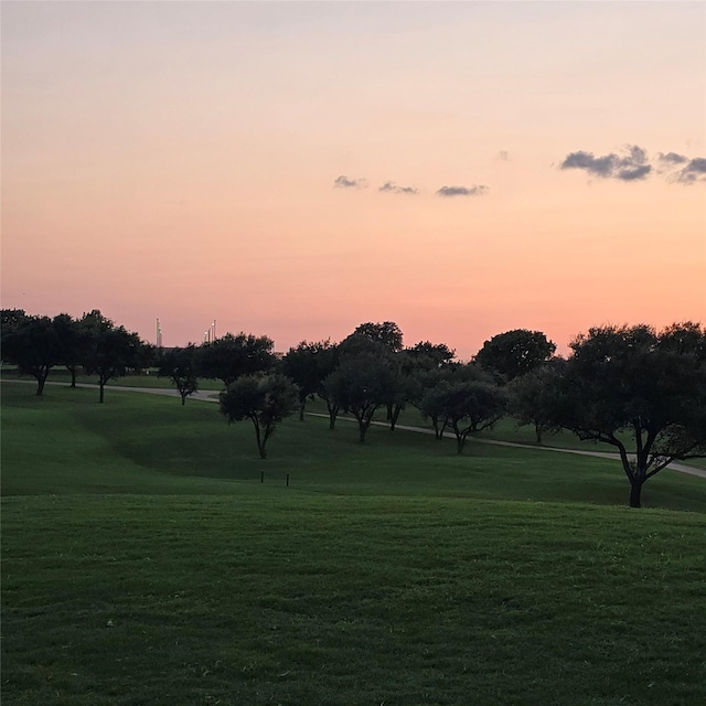 view of community with a lawn