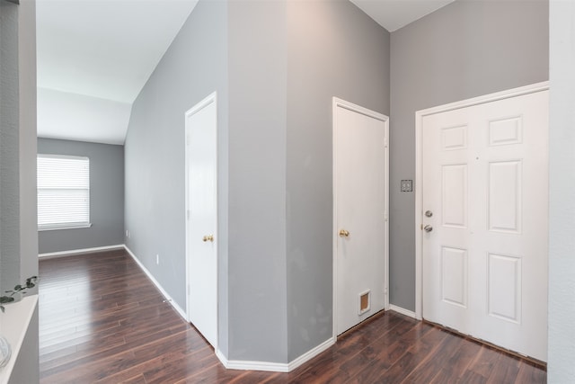 foyer with dark wood-type flooring