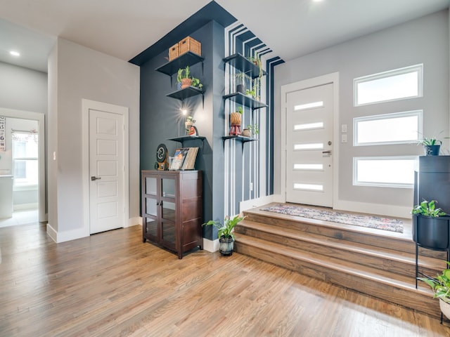 entryway featuring wood-type flooring