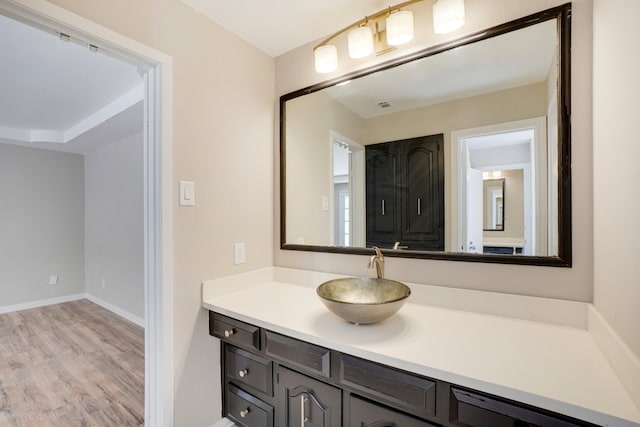 bathroom with vanity and wood-type flooring