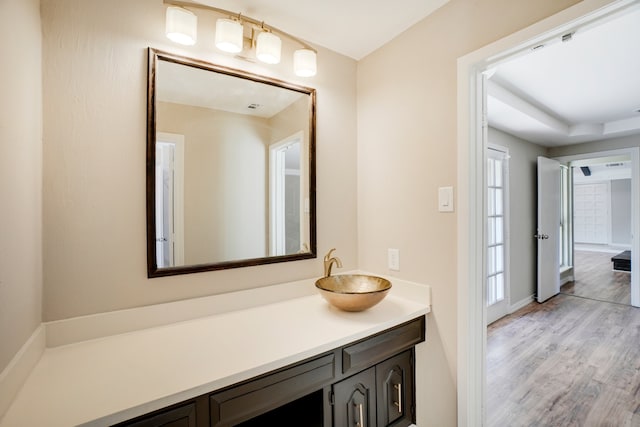 bathroom with hardwood / wood-style flooring and vanity